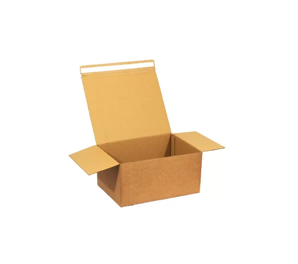 Streamline Shipping Operations: Hassle-Free Self Seal Postal Boxes At Packaging Now